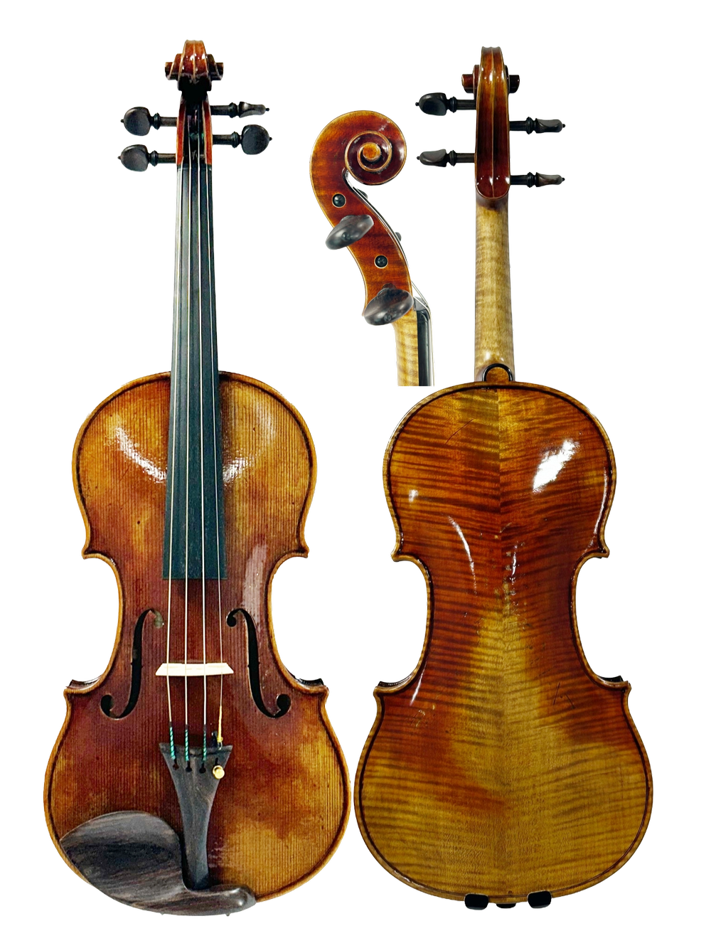 ヴァイオリンテールピースCordiera Cantabile Donato Guarneri Line - Stradivarius 1713 Gibson Violin 4/4